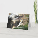 Search for nigerian cards Goat