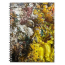 Search for artistic notebooks Yellow