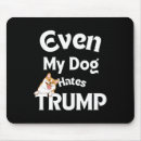 Search for anti dog electronics President