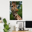 Search for giraffe art Photography