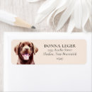 Search for chocolate labrador return address labels Watercolor