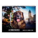 Search for leonberger Dogs