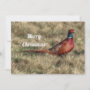 Search for pheasant cards Ring necked pheasant