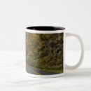 Search for grandfather mountain mugs North carolina