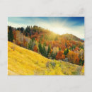 Search for cloud background postcards Bright