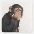 Search for monkey face stickers Animal