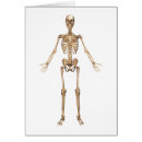 Search for ulna Fibula