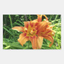 Search for blossoms rectangle stickers Blooms