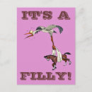 Search for filly postcards Animal