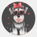 Search for miniature schnauzer stickers Cute