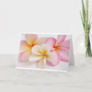 Search for scent cards Pink