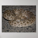 Search for diamondback posters Western