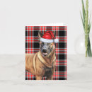 Search for malinois christmas cards Dogs