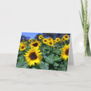 Search for sunflower mothers day cards Mama