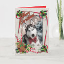 Search for husky christmas cards Pet