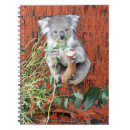 Search for koala notebooks Australia