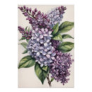 Search for lilac bushes posters Purple