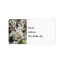 Search for pear return address labels Tree