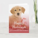 Search for golden puppy cards Studio shot