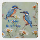 Search for kingfisher stickers Wildlife