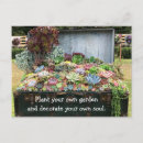 Search for cactus quotes postcards Inspirational quote