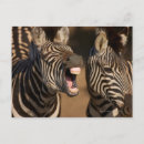 Search for awed postcards Wildlife