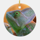 Search for chameleon christmas tree decorations Funny