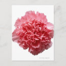Search for cut up postcards Flower head