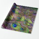 Search for peacock feathers wrapping paper Bird