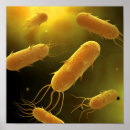 Search for bacterium posters Healthcare
