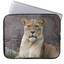 Search for wildlife cases Landscape