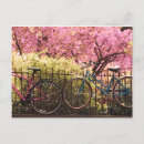 Search for biked postcards Bikes