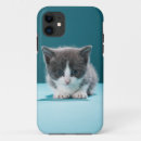 Search for little kitten iphone cases Baby animals