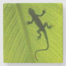 Search for changing leaves coasters Abstract