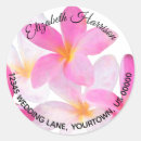 Search for pink plumeria stickers Hawaii
