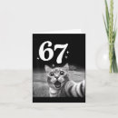Search for funny cat graphic postcards Meme