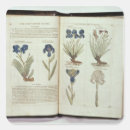 Search for elizabethan stickers 16th