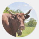 Search for cow horns stickers Animal