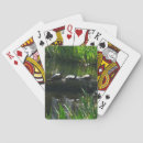 Search for turtle playing cards Pond