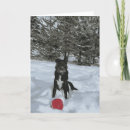 Search for lab christmas cards Winter