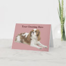Search for cavalier king charles spaniel cards Puppies