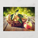Search for apple baskets postcards Apples