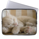 Search for whisker cases Pet