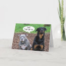 Search for funny dog graduation cards Dogs
