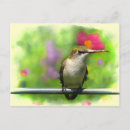 Search for hovering postcards Wings