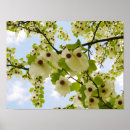 Search for handkerchief posters Flowers