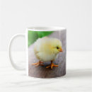 Search for little chicks mugs Cute