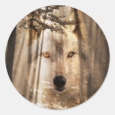 Search for spectre stickers Spirit