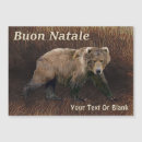 Search for brown bear christmas cards Wildlife