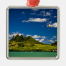 Search for sea lion christmas tree decorations Travel